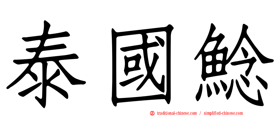 泰國鯰