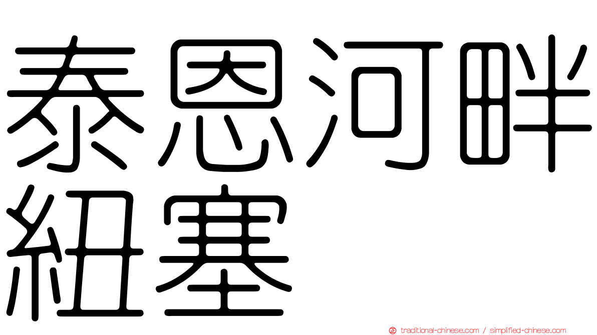 泰恩河畔紐塞
