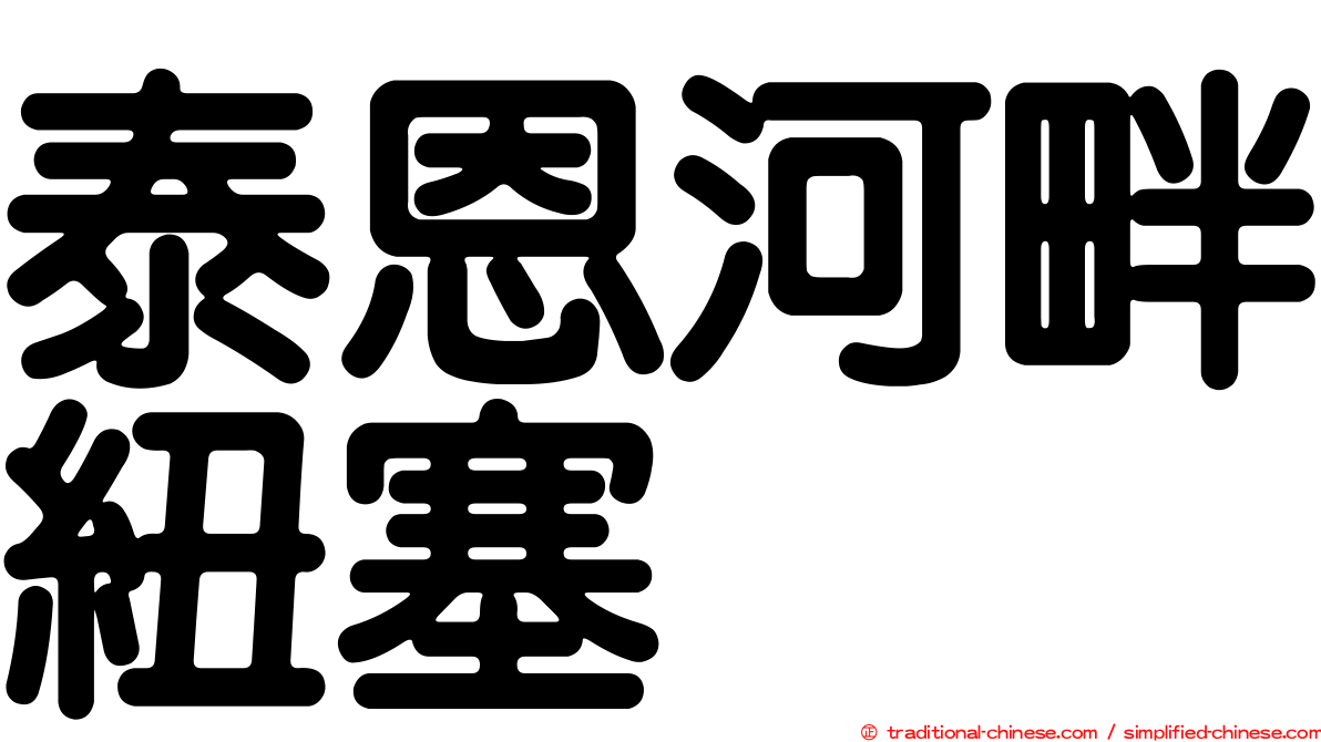 泰恩河畔紐塞