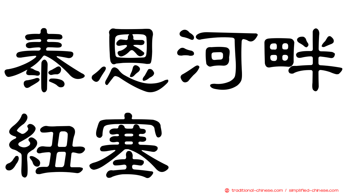 泰恩河畔紐塞