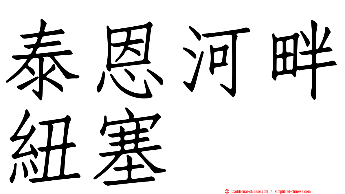 泰恩河畔紐塞