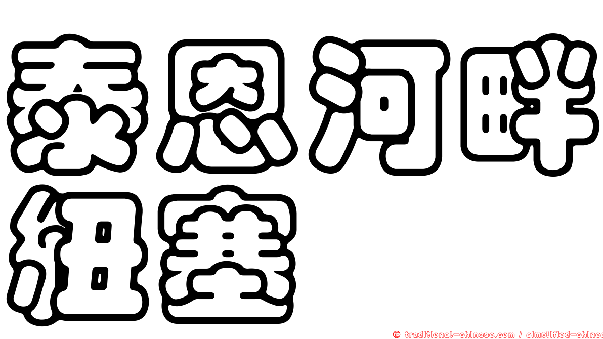 泰恩河畔紐塞