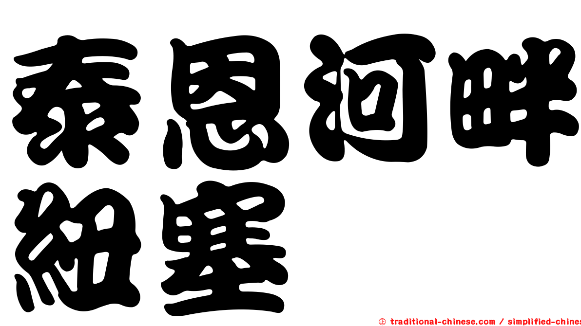 泰恩河畔紐塞