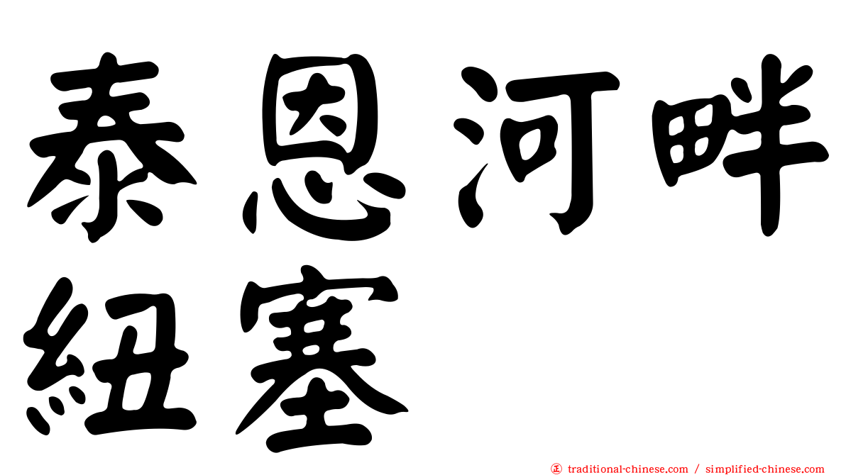 泰恩河畔紐塞