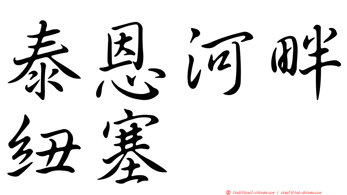 泰恩河畔紐塞