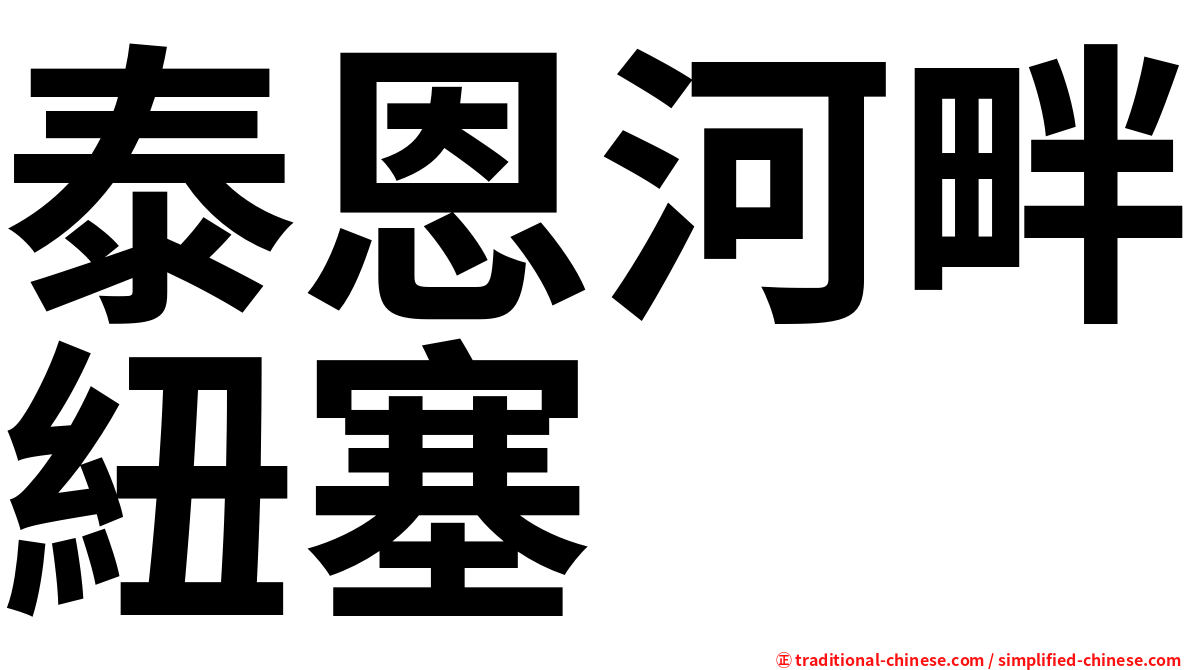 泰恩河畔紐塞