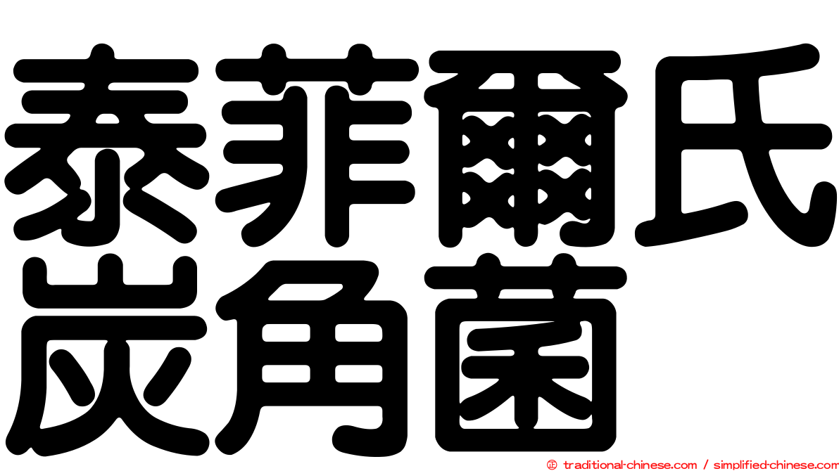泰菲爾氏炭角菌