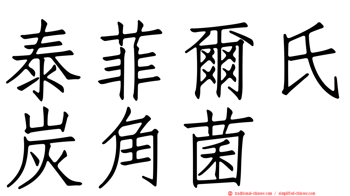 泰菲爾氏炭角菌