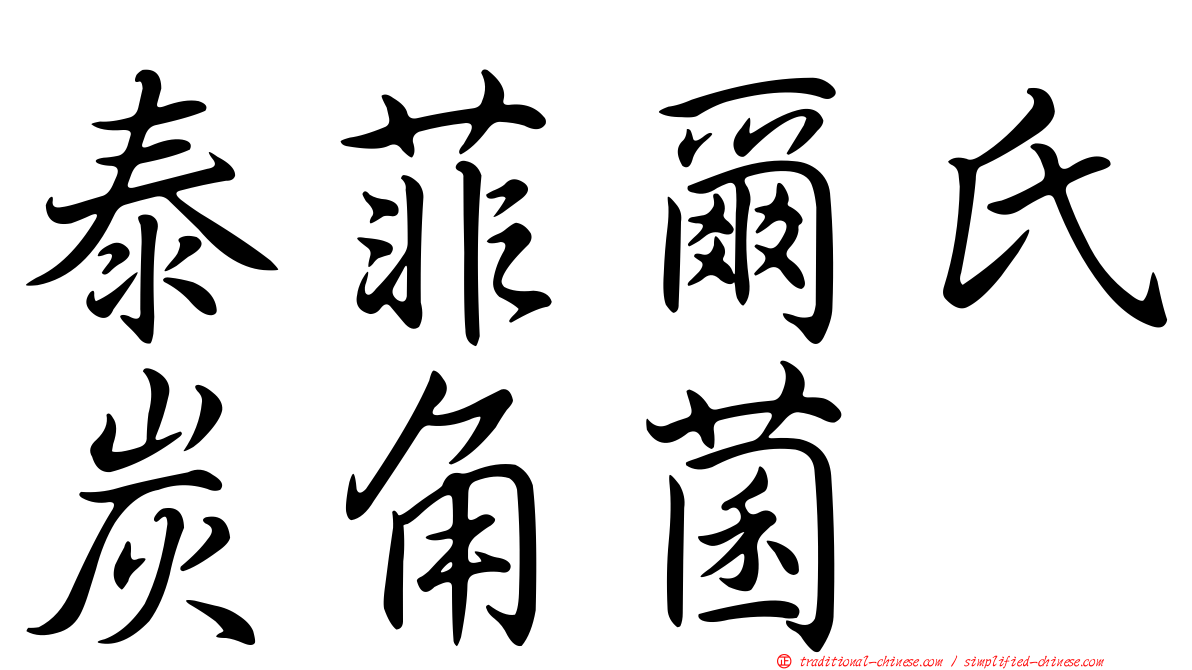 泰菲爾氏炭角菌