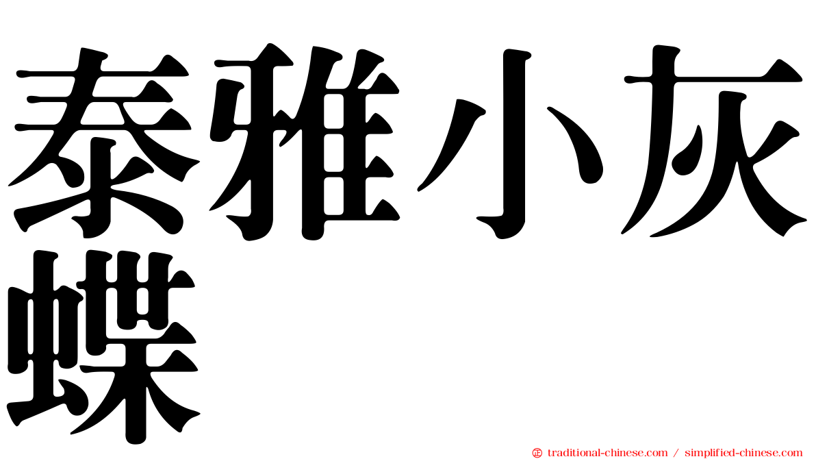 泰雅小灰蝶