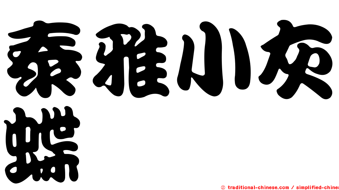泰雅小灰蝶
