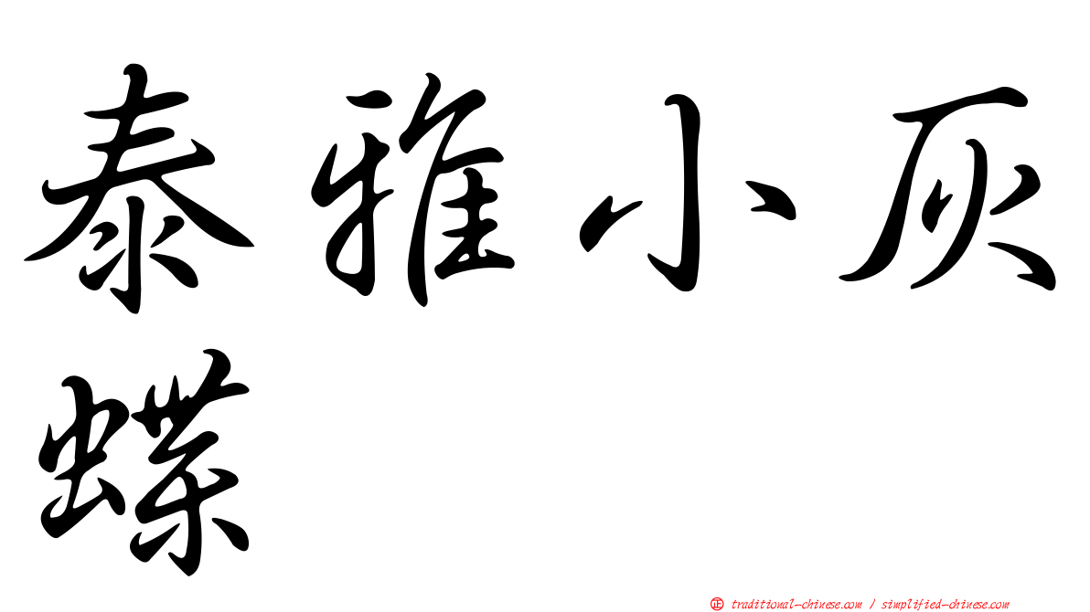 泰雅小灰蝶
