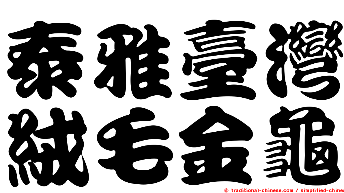 泰雅臺灣絨毛金龜