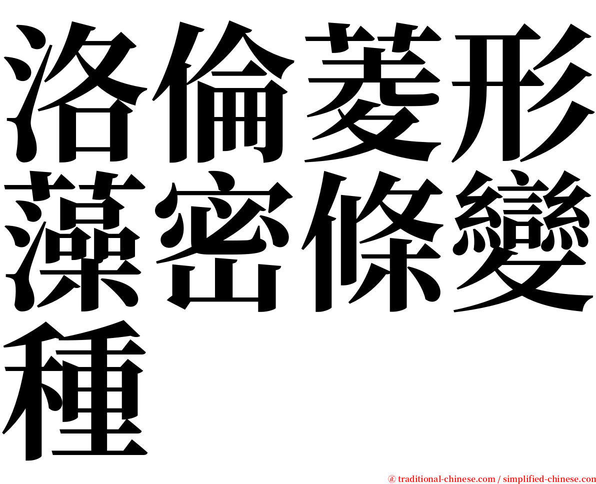 洛倫菱形藻密條變種 serif font