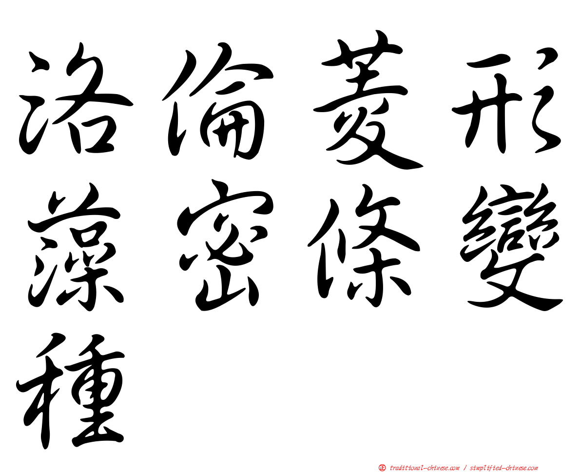 洛倫菱形藻密條變種