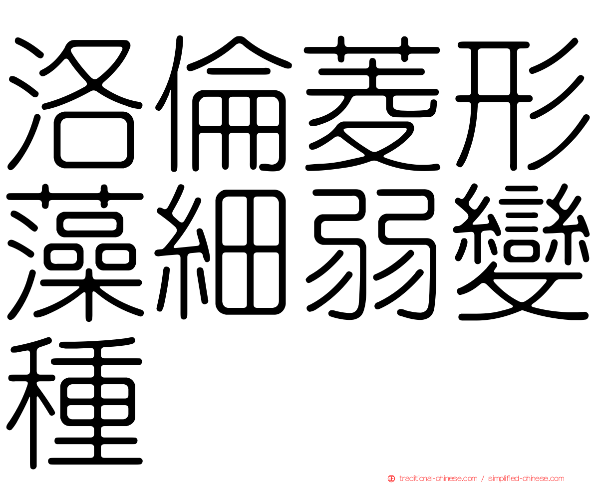 洛倫菱形藻細弱變種