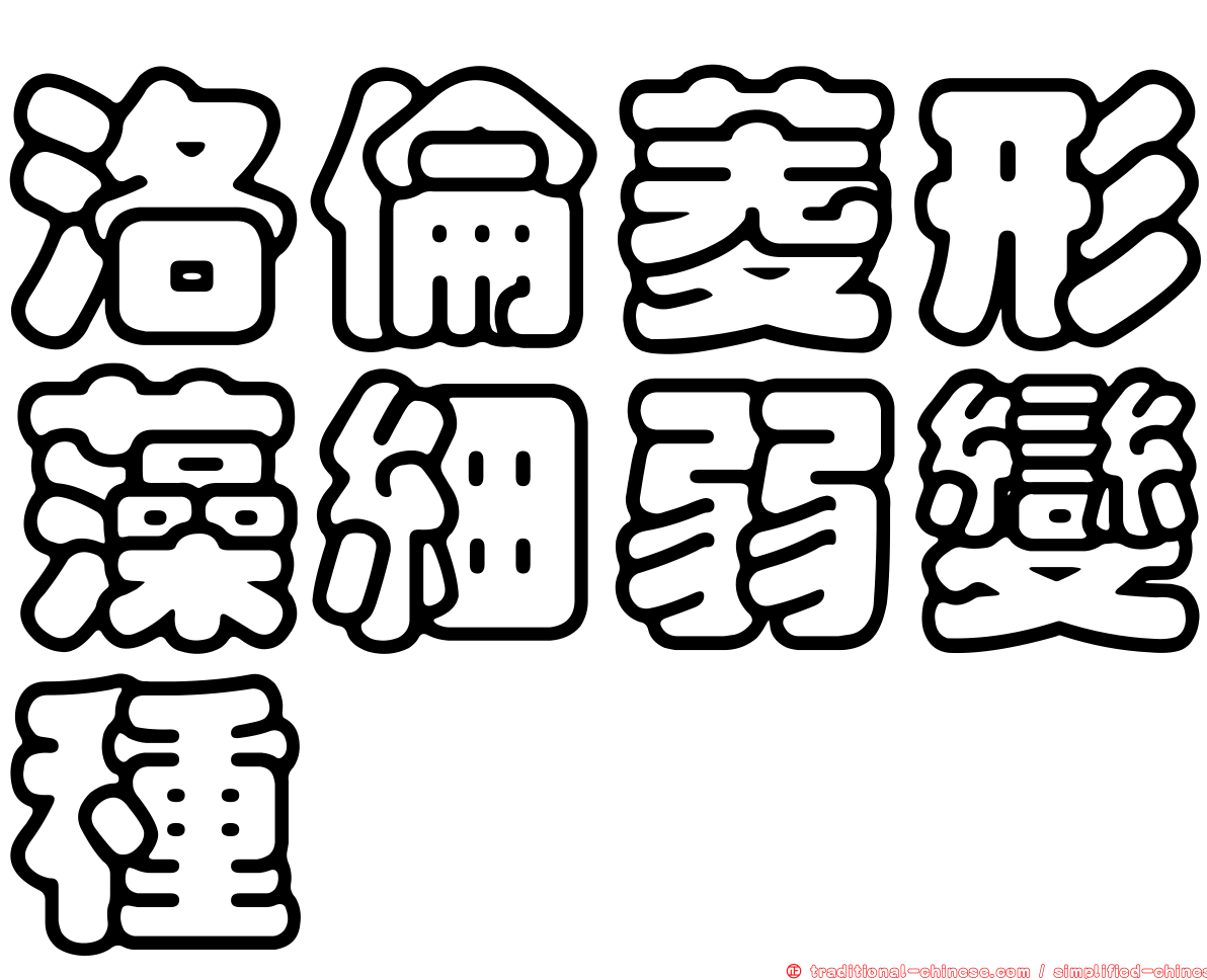 洛倫菱形藻細弱變種