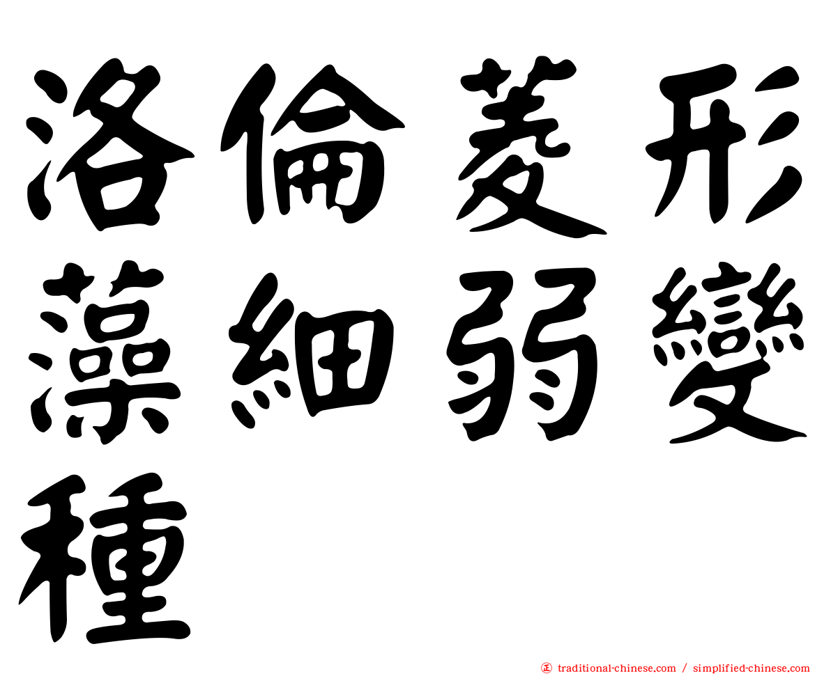 洛倫菱形藻細弱變種