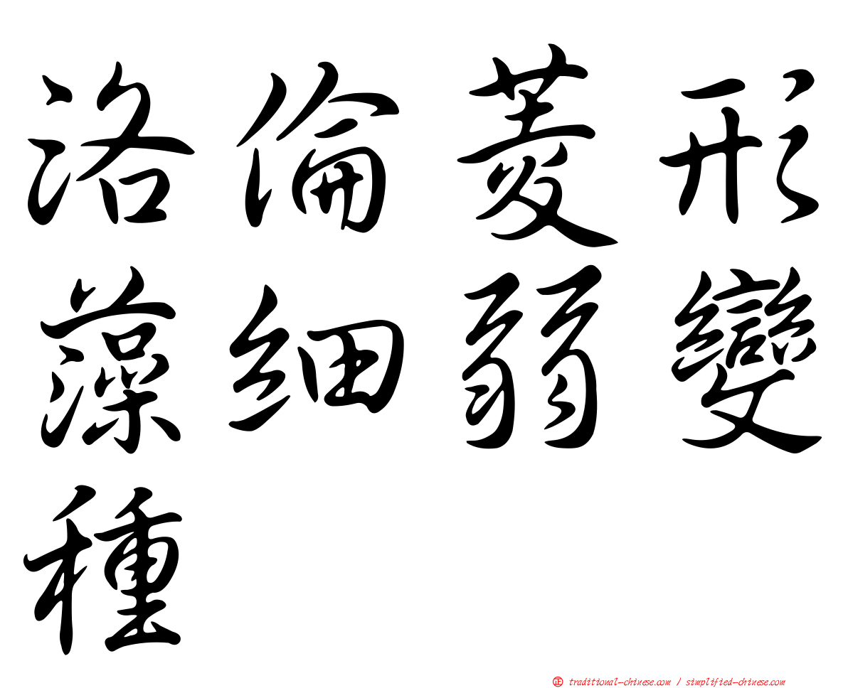 洛倫菱形藻細弱變種
