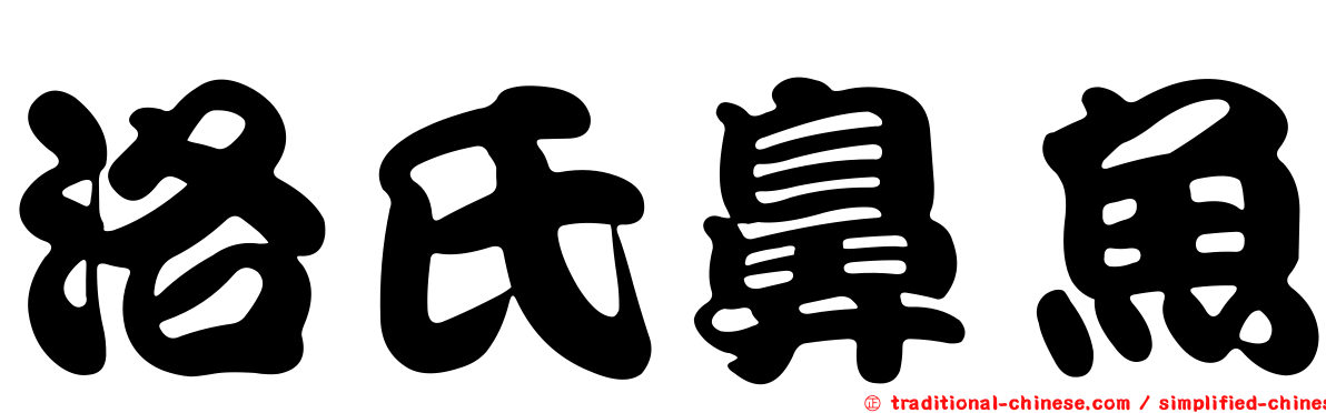 洛氏鼻魚