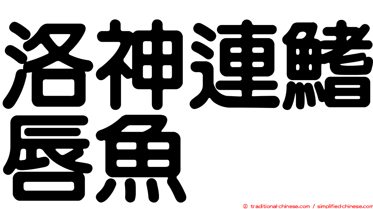 洛神連鰭唇魚