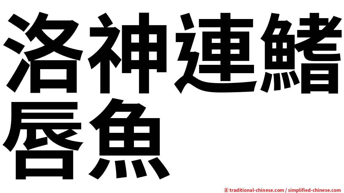 洛神連鰭唇魚