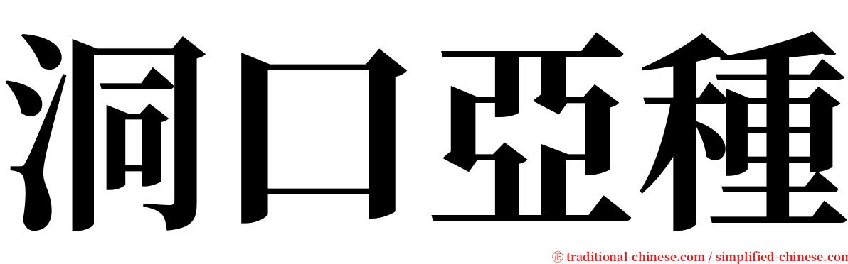 洞口亞種 serif font