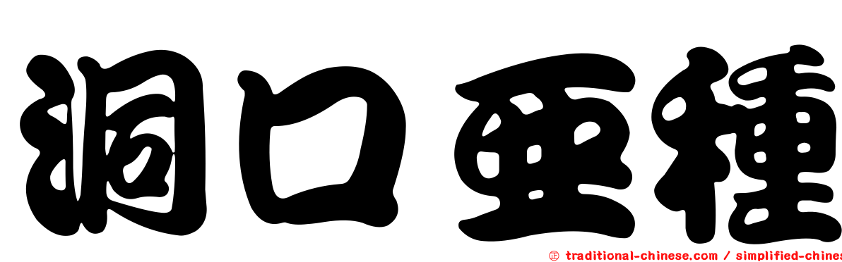 洞口亞種