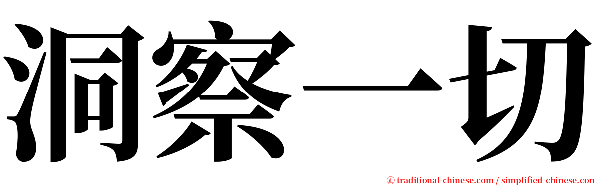 洞察一切 serif font