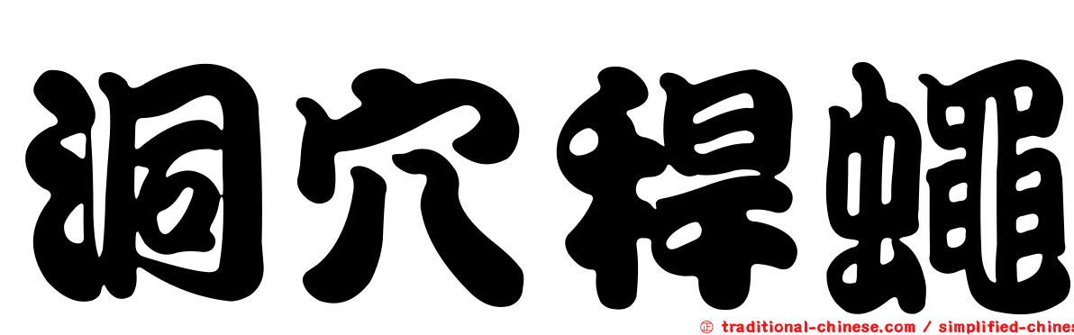 洞穴稈蠅