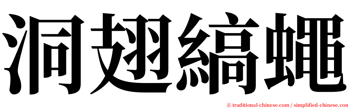 洞翅縞蠅 serif font
