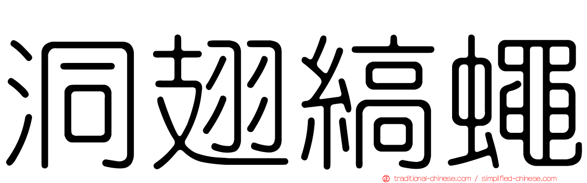 洞翅縞蠅