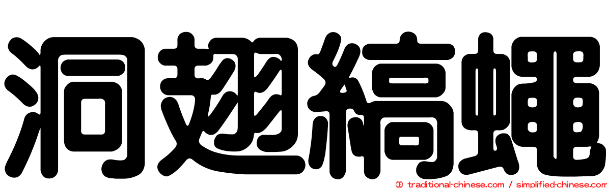 洞翅縞蠅
