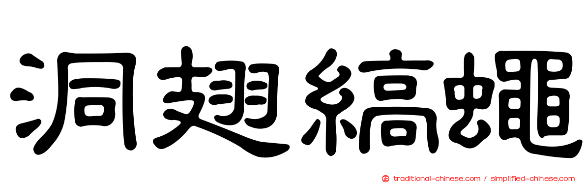 洞翅縞蠅