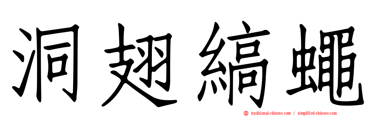 洞翅縞蠅