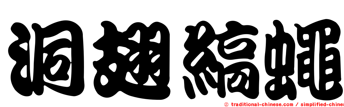 洞翅縞蠅