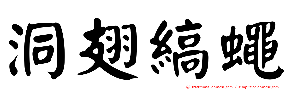 洞翅縞蠅