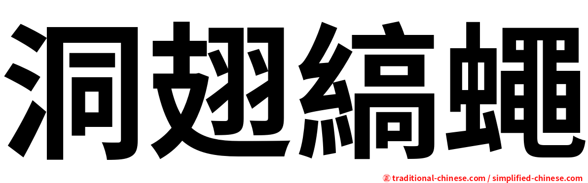 洞翅縞蠅