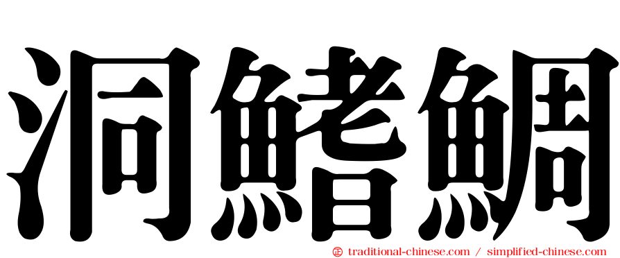 洞鰭鯛