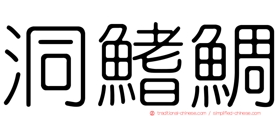 洞鰭鯛