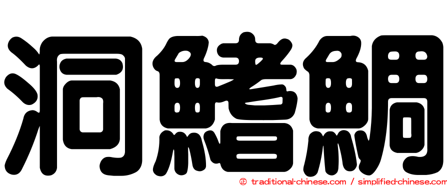 洞鰭鯛