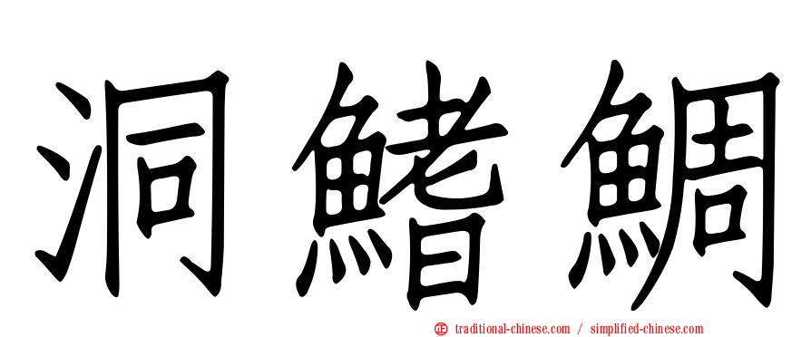 洞鰭鯛