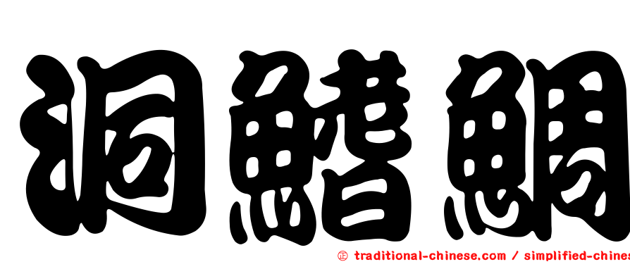 洞鰭鯛