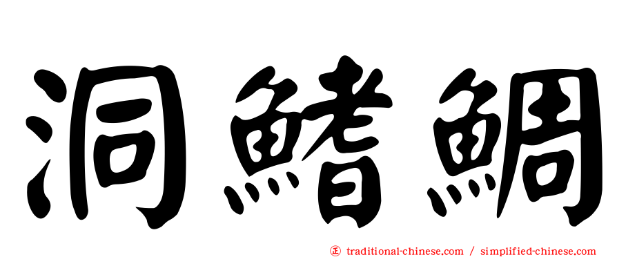 洞鰭鯛