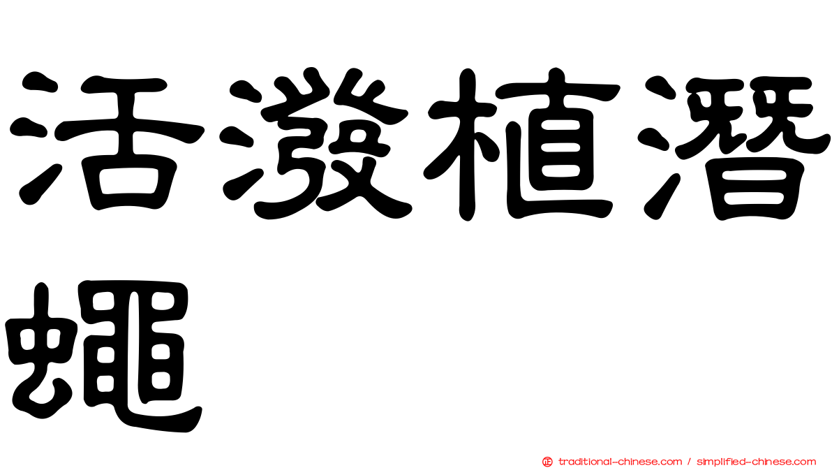 活潑植潛蠅