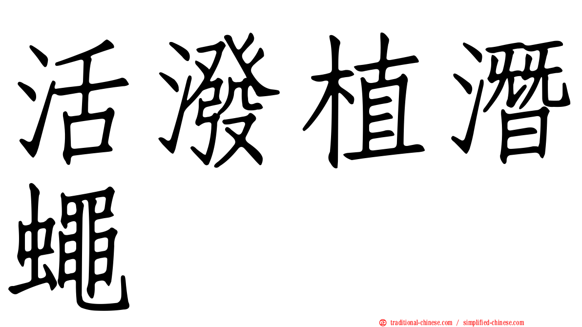 活潑植潛蠅