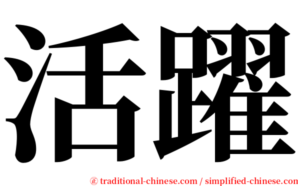 活躍 serif font