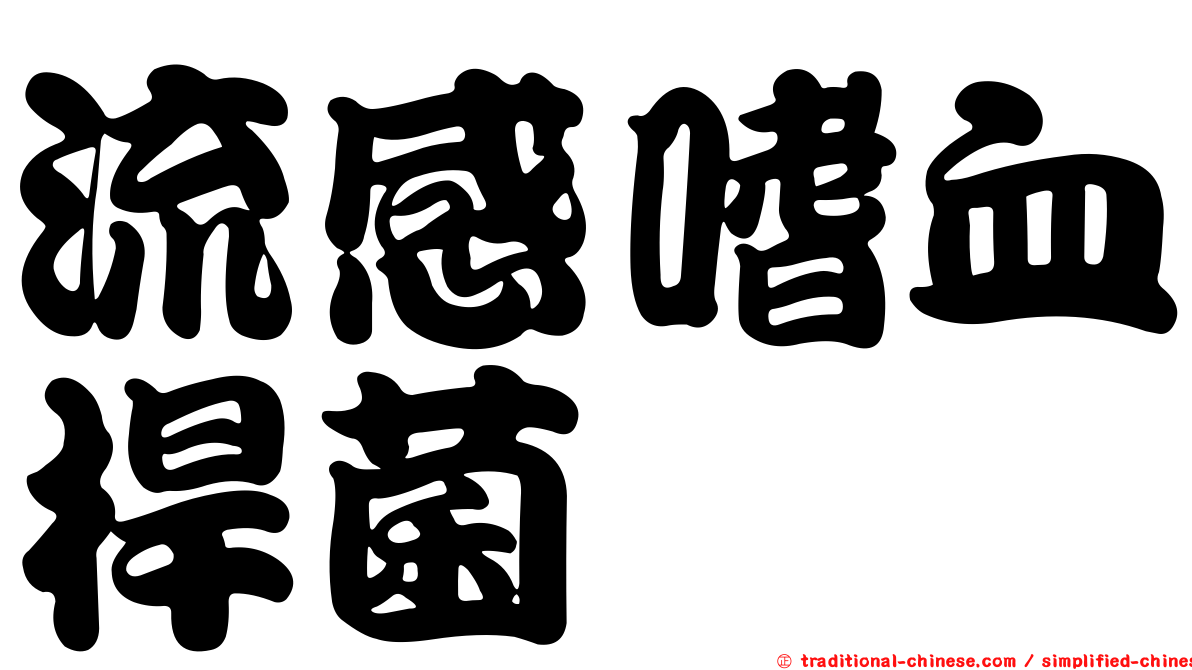 流感嗜血桿菌