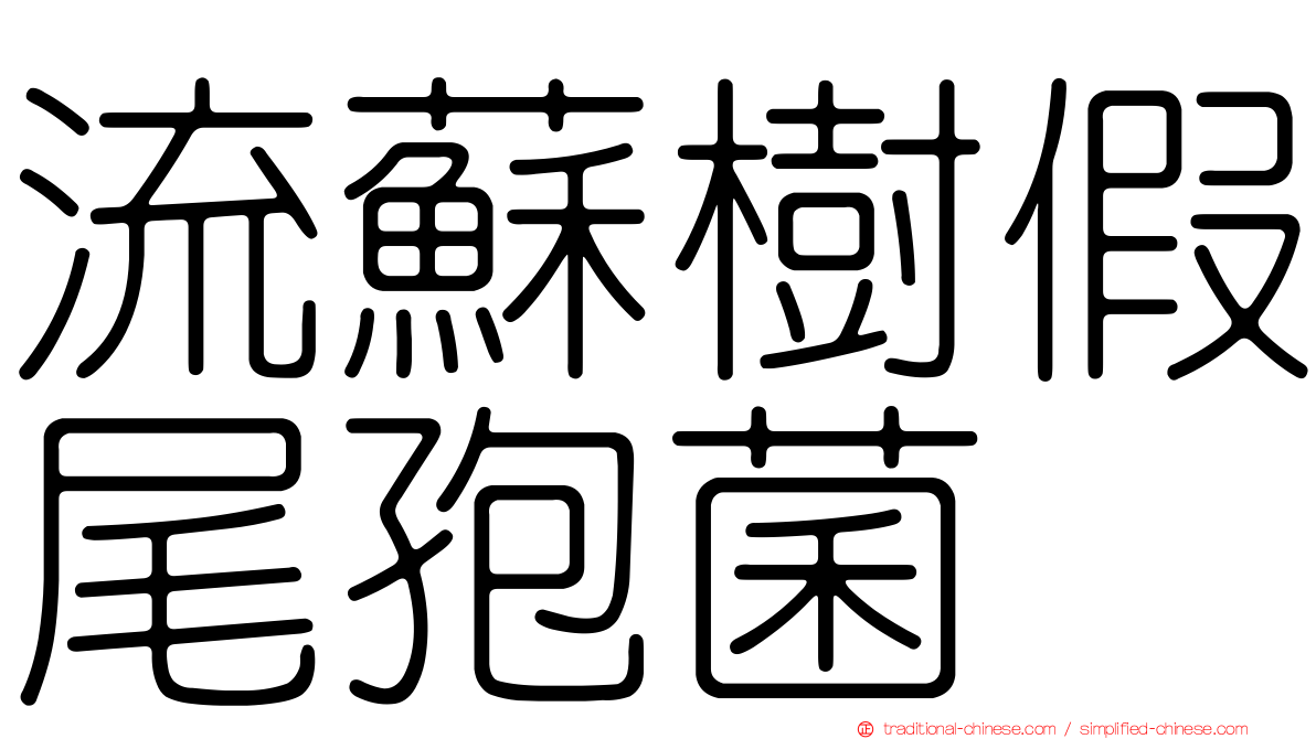 流蘇樹假尾孢菌