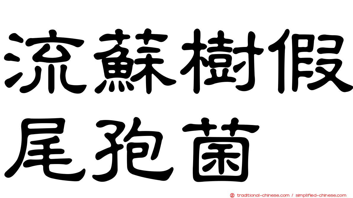 流蘇樹假尾孢菌
